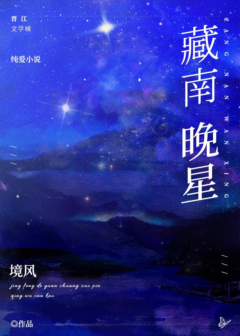 藏南晚星小说