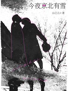 今夜京北有雪小说全文免费阅读